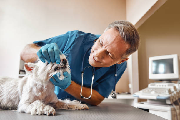 Best Emergency Wisdom Teeth Removal in Villa Park, CA
